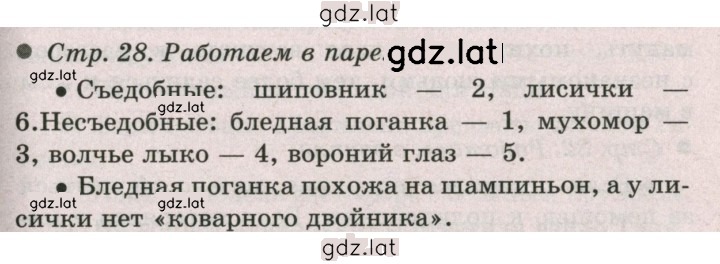 Решение задания № 28 — страница 1
