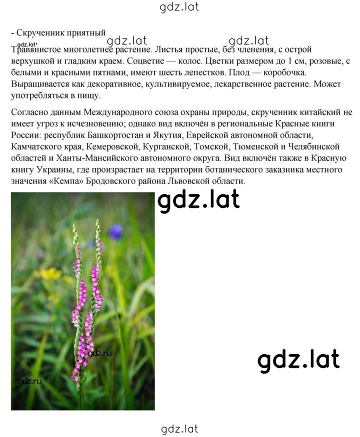 Решение задания № 98 — страница 2