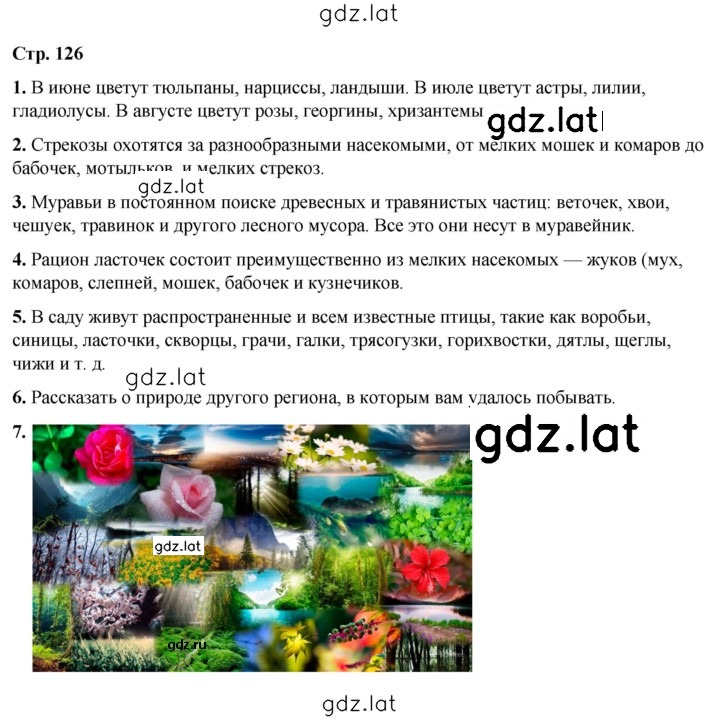 Решение задания № 126 — страница 1