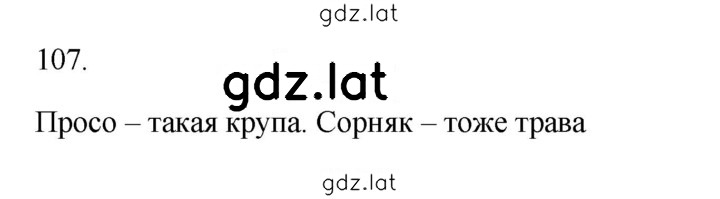 Решение задания № 107 — страница 1