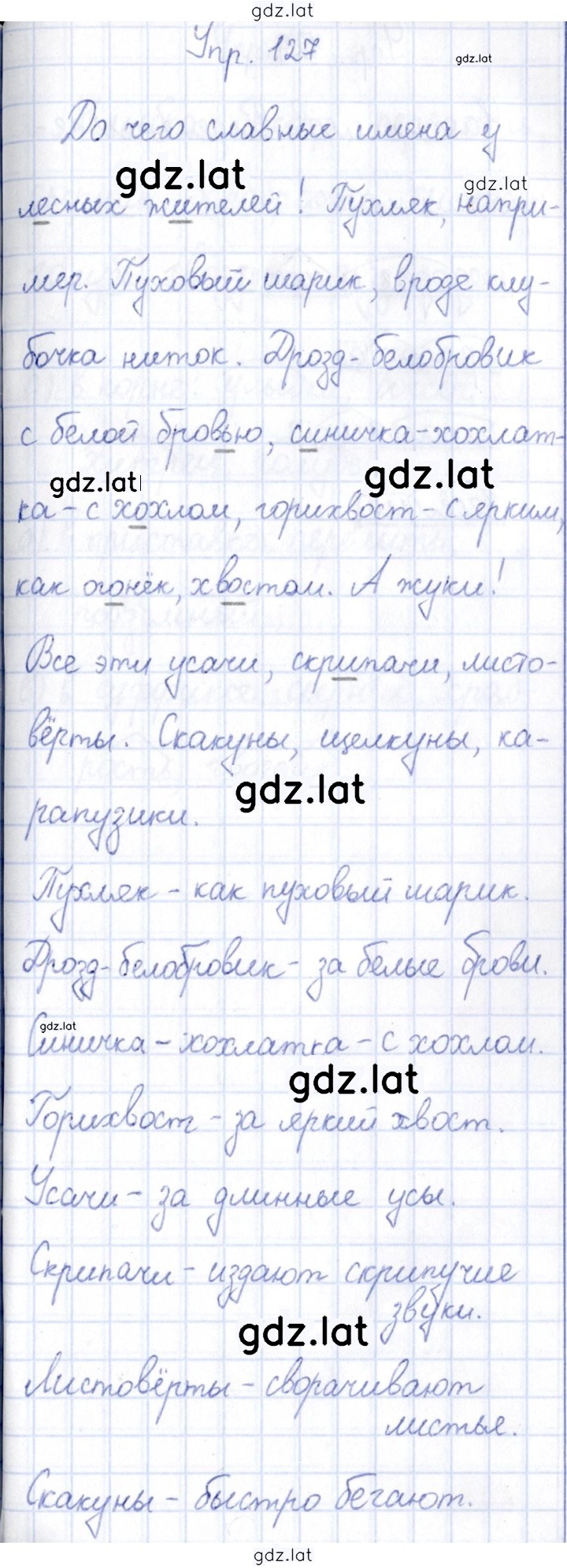 Решение задания № 127 — страница 1