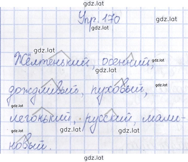 Решение задания № 170 — страница 1