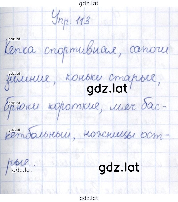 Решение задания № 113 — страница 1