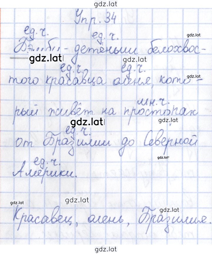 Решение задания № 34 — страница 1