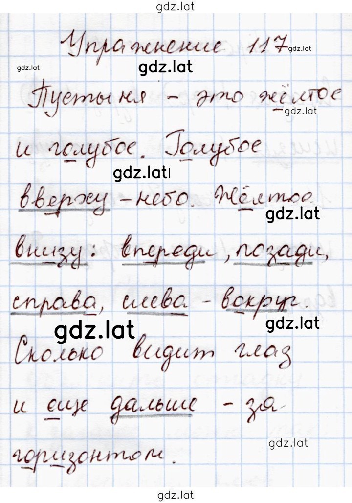 Решение задания № 117 — страница 1