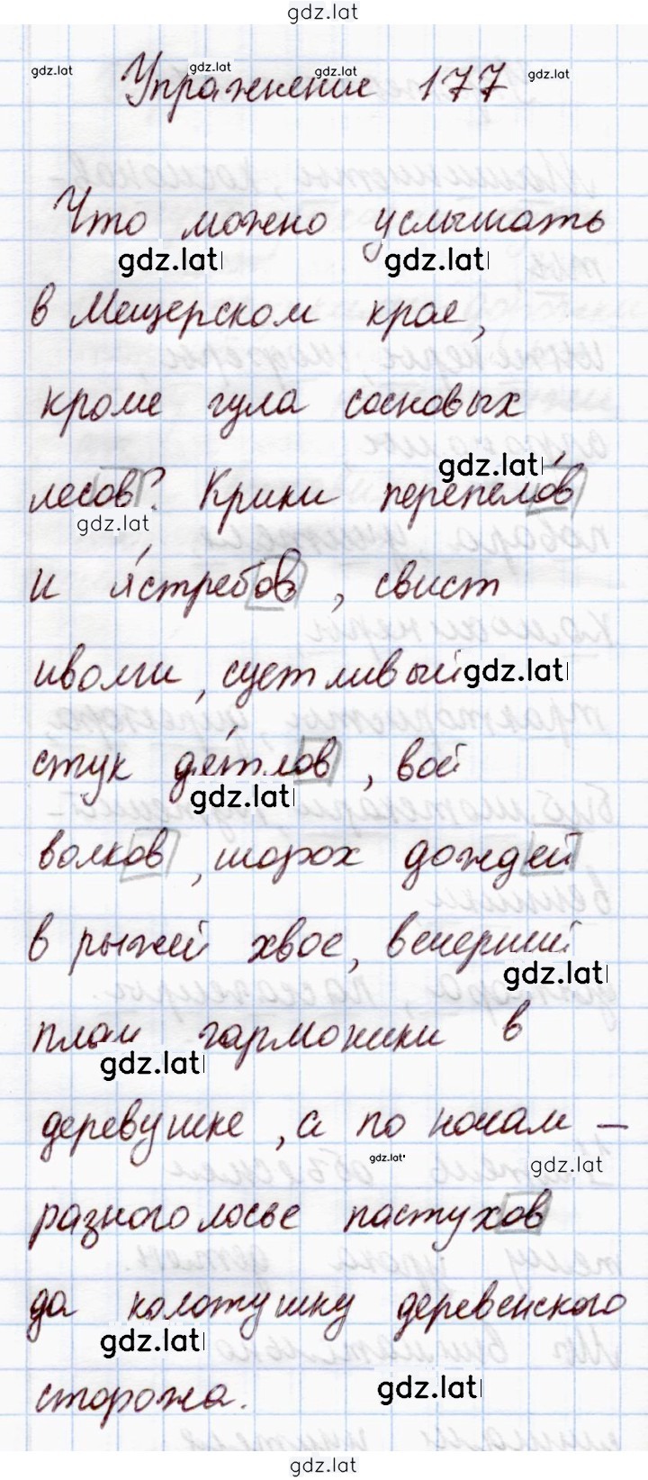 Решение задания № 177 — страница 1