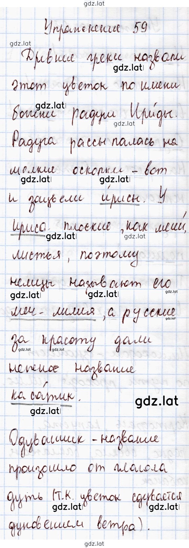 Решение задания № 59 — страница 1