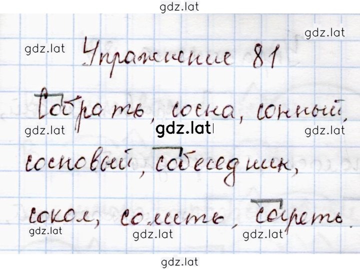 Решение задания № 81 — страница 1