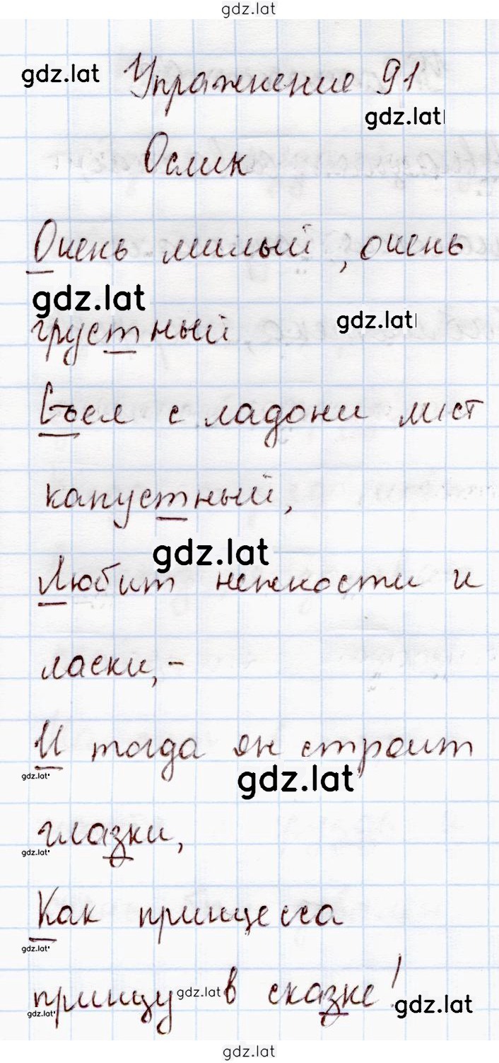Решение задания № 91 — страница 1