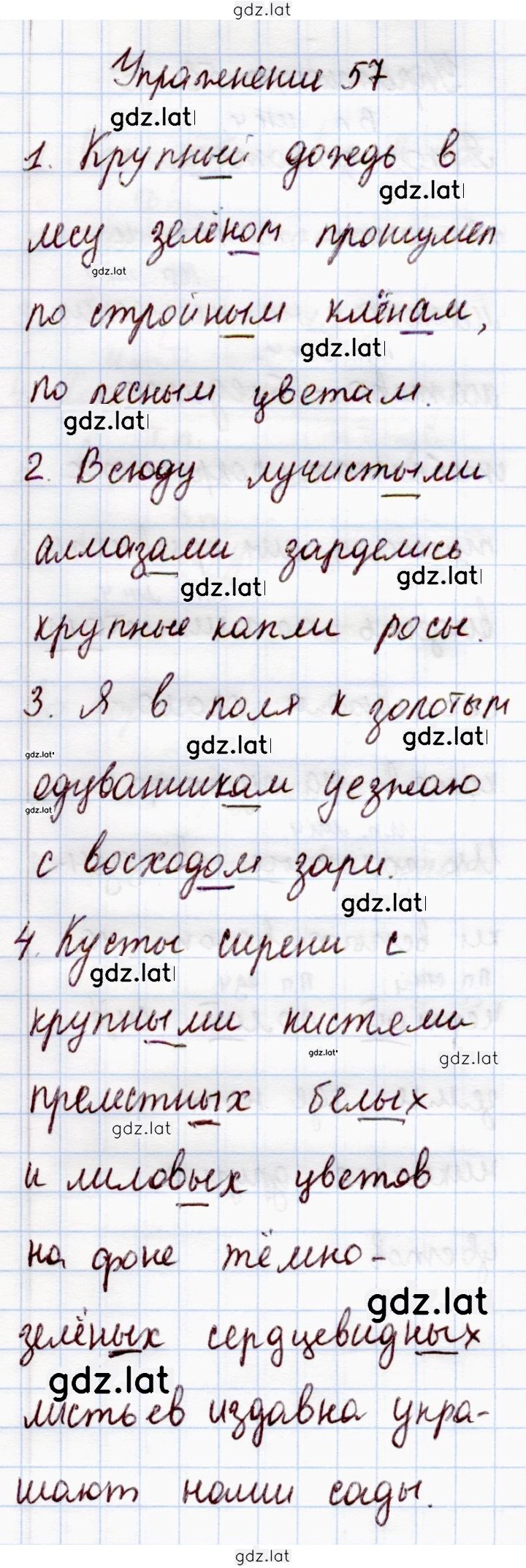 Решение задания № 57 — страница 1