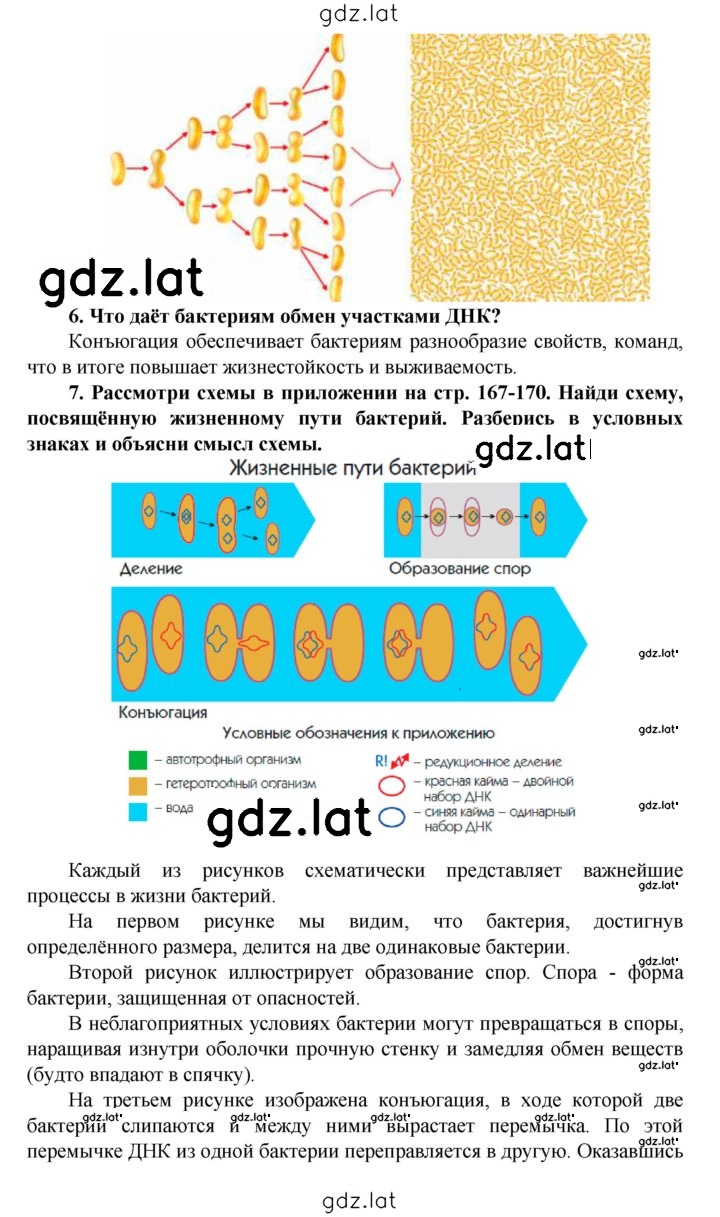 Решение задания № § 11 — страница 3