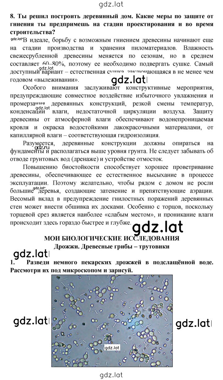 Решение задания № § 17 — страница 4
