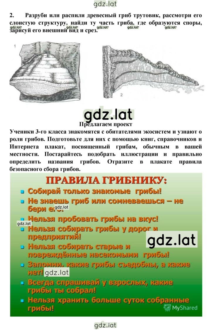 Решение задания № § 17 — страница 5