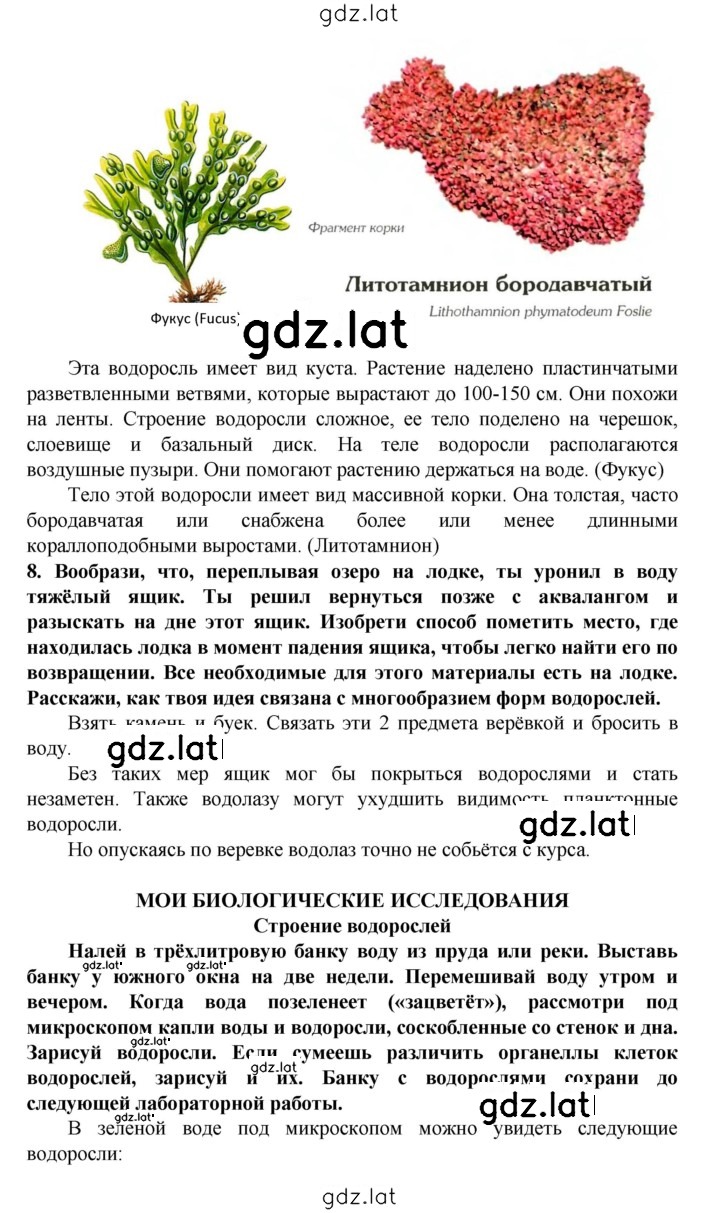 Решение задания № § 19 — страница 3