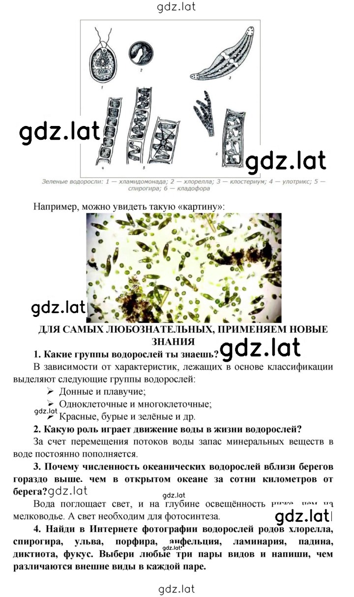 Решение задания № § 19 — страница 4