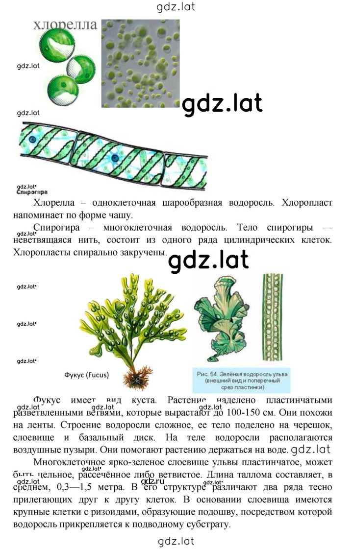 Решение задания № § 19 — страница 5