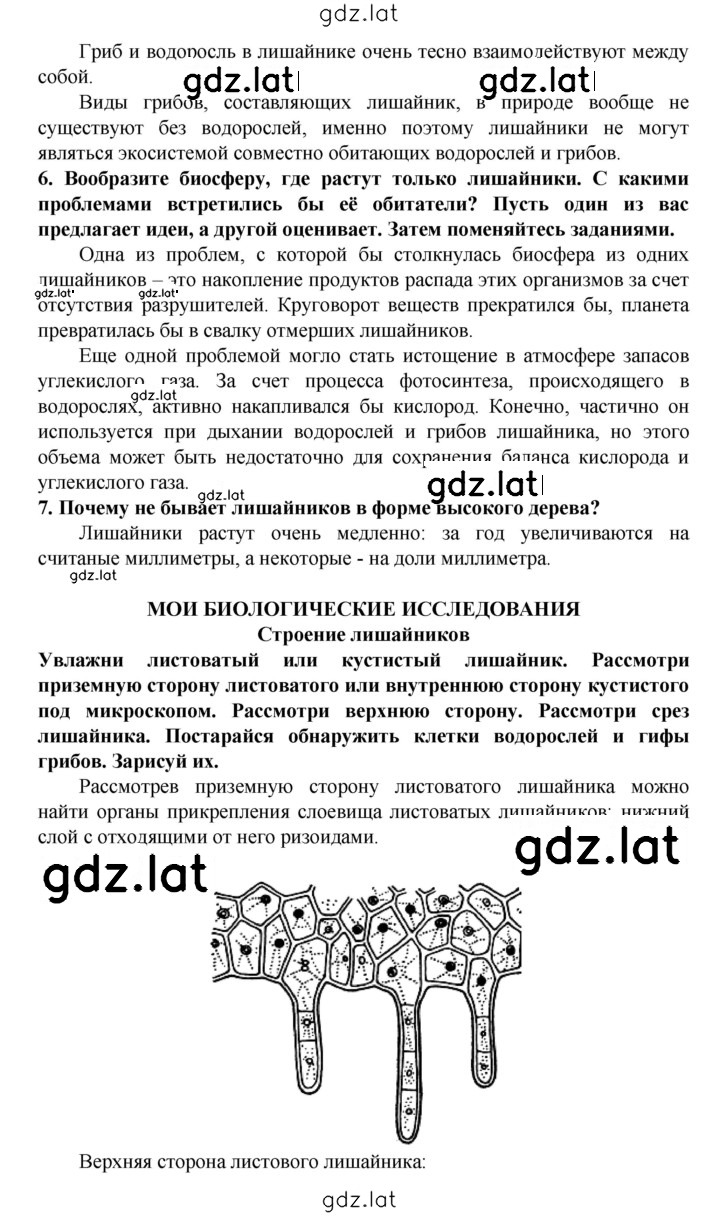 Решение задания № § 23 — страница 3