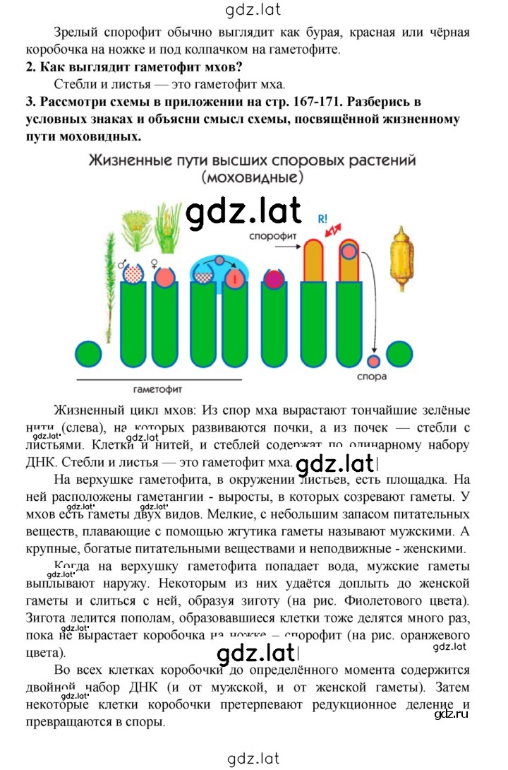 Решение задания № § 25 — страница 7