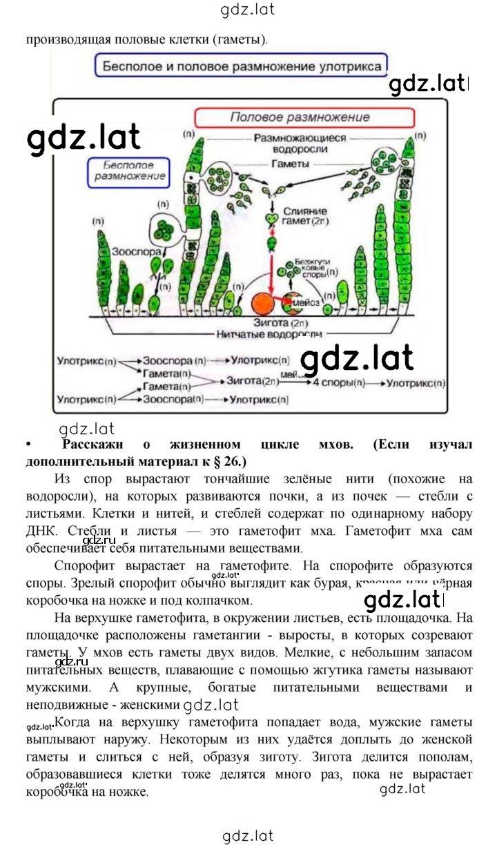 Решение задания № § 28 — страница 2