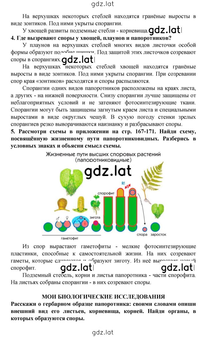 Решение задания № § 28 — страница 4