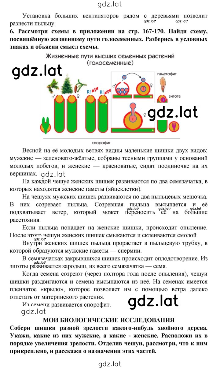 Решение задания № § 29 — страница 3