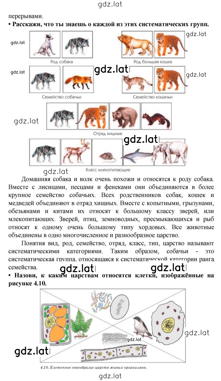 Решение задания № § 4 — страница 4