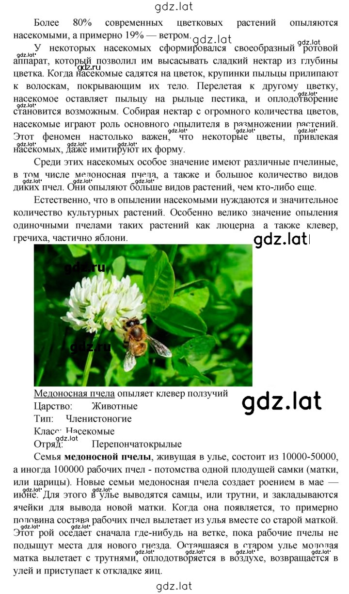 Решение задания № Задание на лето — страница 2