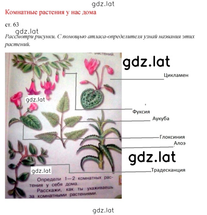 Решение задания № 63 — страница 1