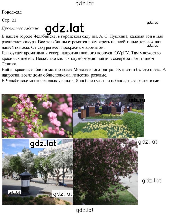 Решение задания № 21 — страница 1