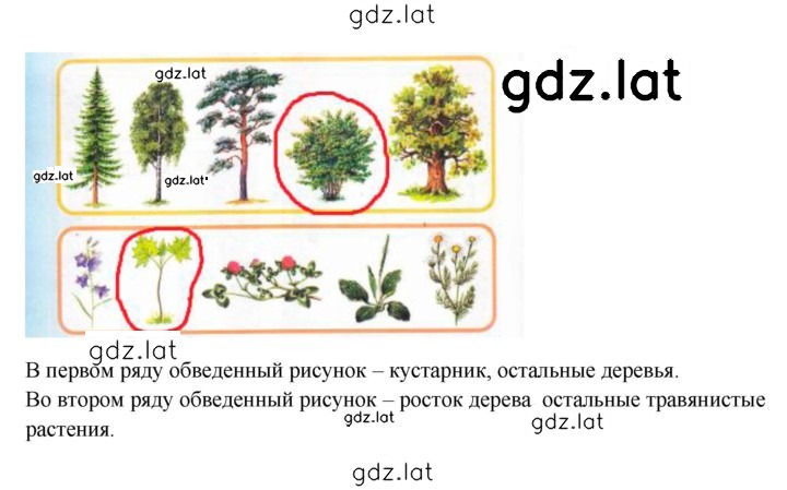 Решение задания № 26 — страница 2