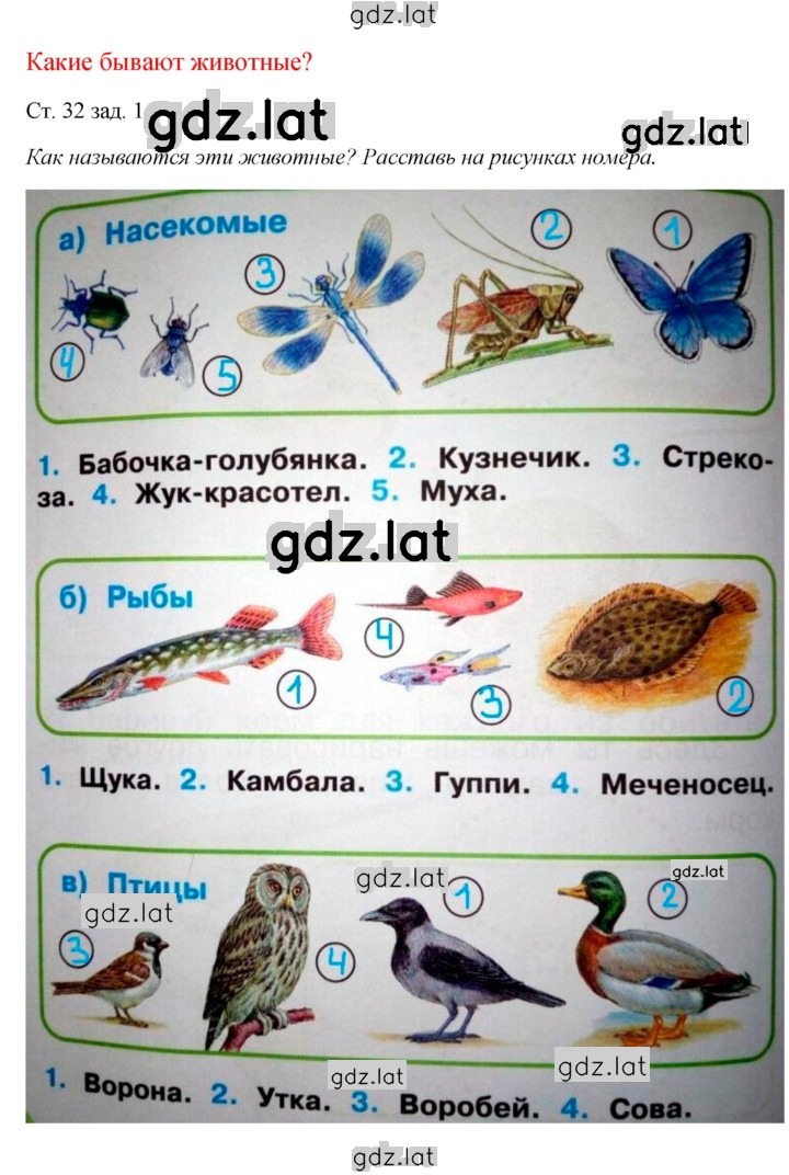 Решение задания № 32 — страница 1