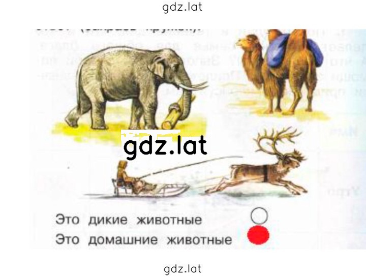 Решение задания № 65 — страница 2