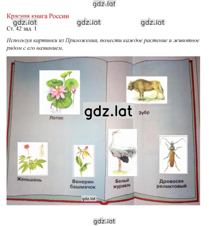 Решение задания № 42 — страница 1