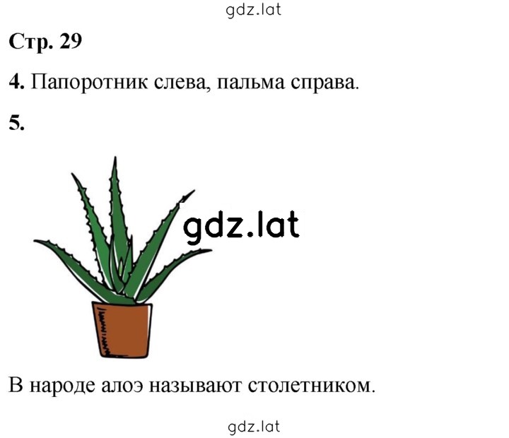 Решение задания № 29 — страница 1