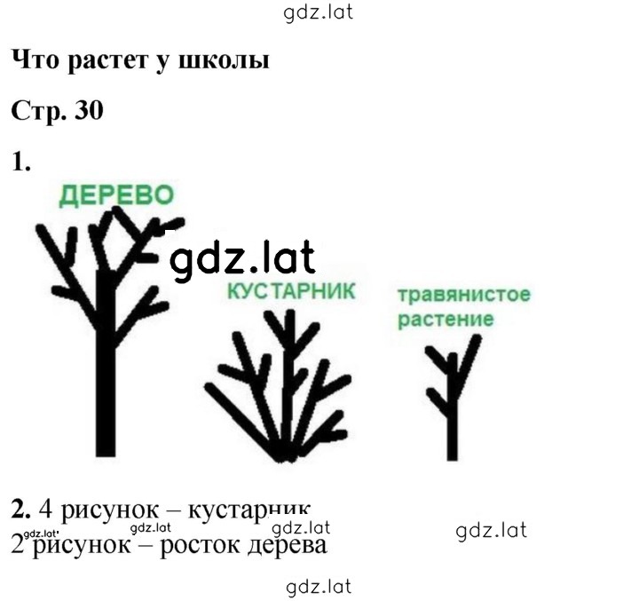 Решение задания № 30 — страница 1