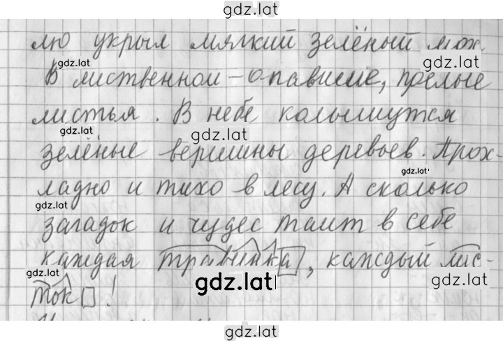 Решение задания № 56 — страница 3