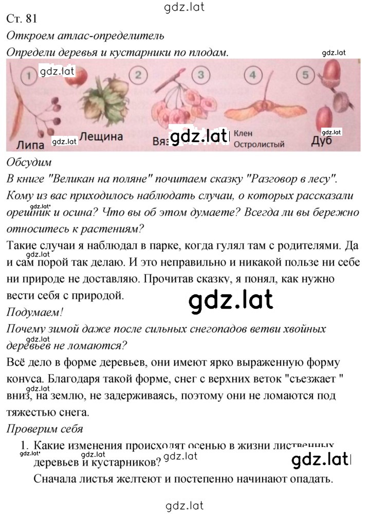 Решение задания № 81 — страница 1