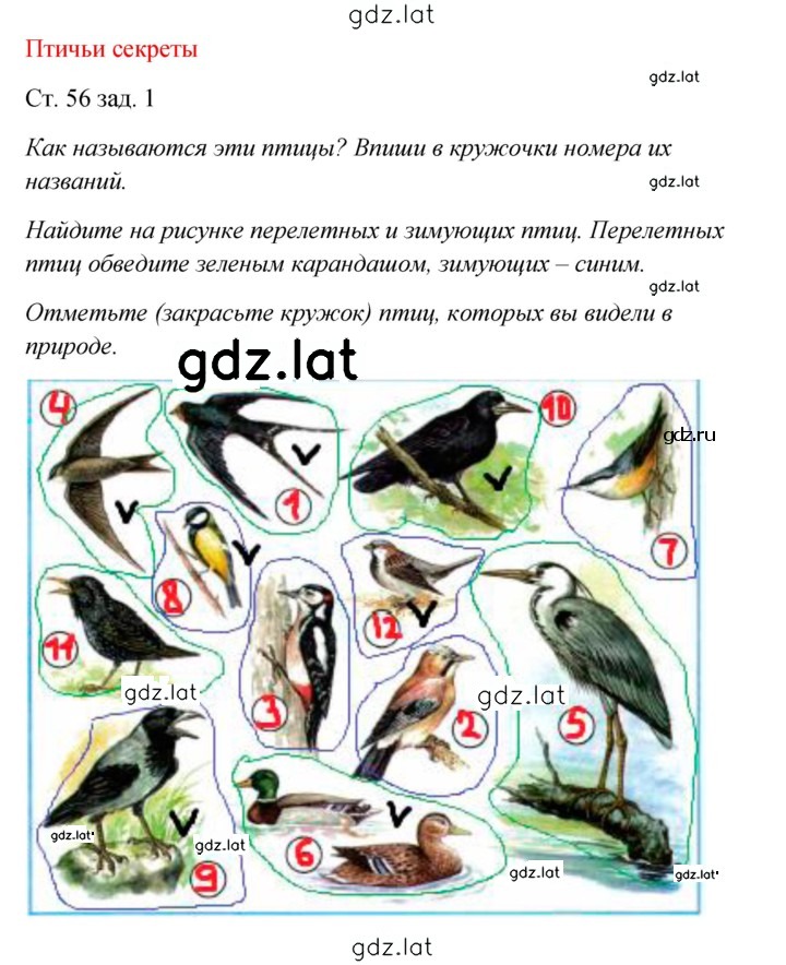Решение задания № 56 — страница 1