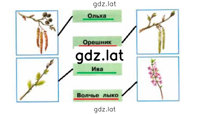 Решение задания № 41 — страница 2