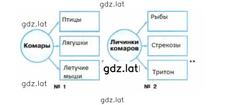 Решение задания № 47 — страница 2