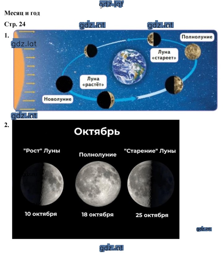 Решение задания № 24 — страница 1
