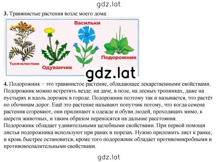 Решение задания № 47 — страница 1