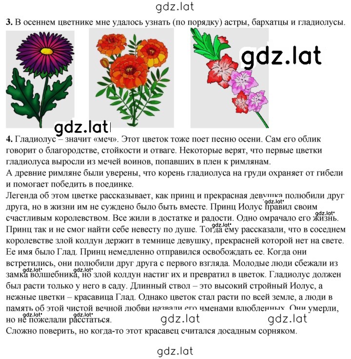Решение задания № 53 — страница 1