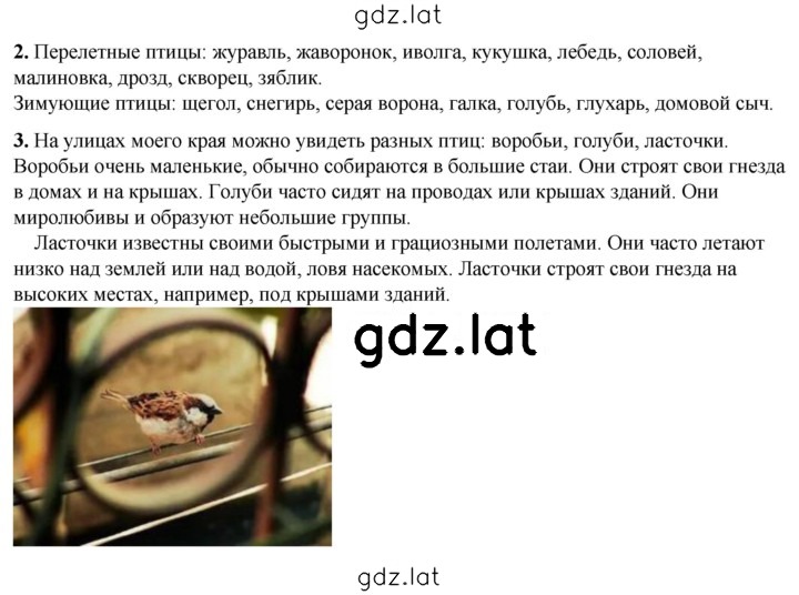 Решение задания № 57 — страница 1