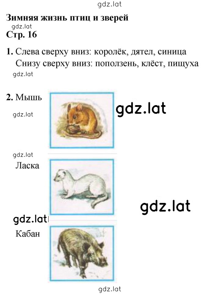 Решение задания № 16 — страница 1
