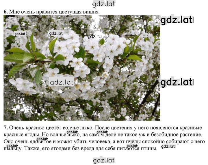 Решение задания № 41 — страница 1