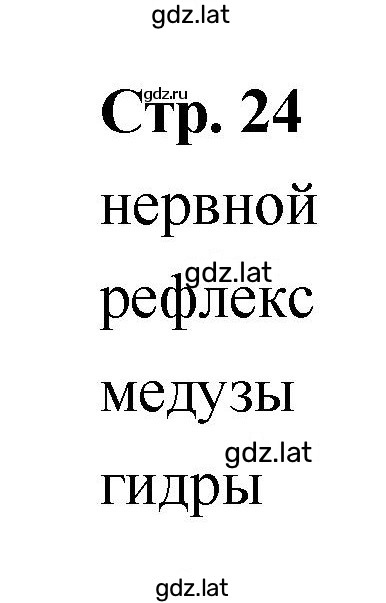 Решение задания № 24 — страница 1