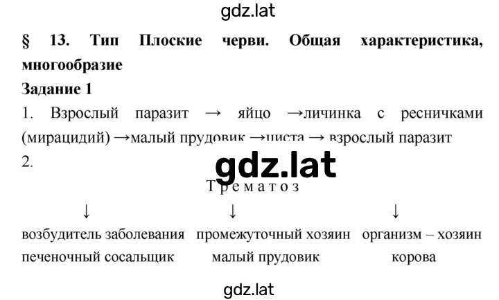 Решение задания № 24 — страница 2