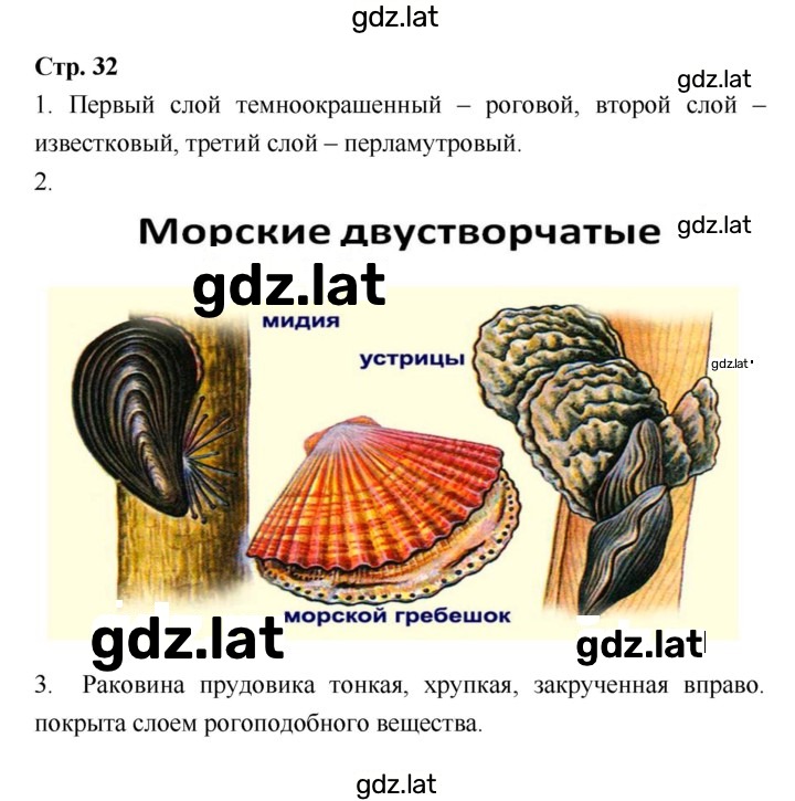 Решение задания № 32 — страница 1