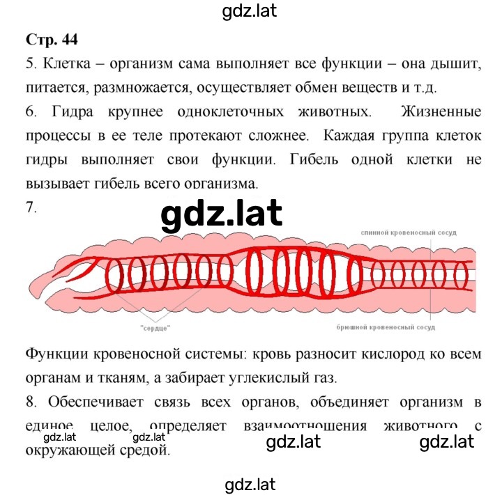 Решение задания № 44 — страница 1